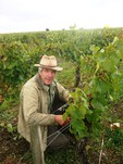 Vendanges manuelles pour notre Chateaumeillant