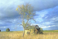 Vineyard shed